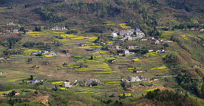 汉阴油菜远景