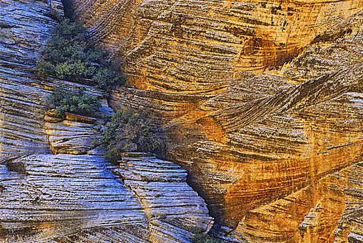 岩石上,峡谷,锡安国家公园,犹他,美国