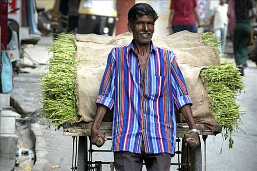 印度,男人,彩色,衬衫,推,手推车,草,乌代浦尔,拉贾斯坦邦