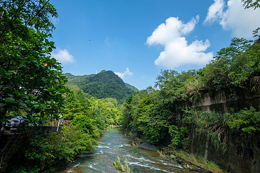 山谷里流过清净凉爽的小溪流