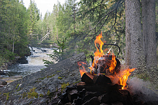 水,熟食,荒野,咖啡,壶,火焰,烟,河,靠近,国家,公园,瑞典,斯堪的纳维亚,北欧,欧洲