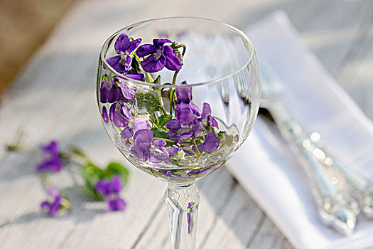 紫罗兰,葡萄酒杯