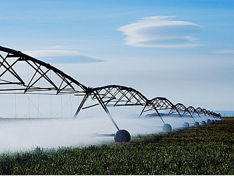 灌溉,地点,德克萨斯,美国