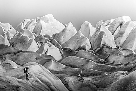 男人,探索,冰河,格陵兰