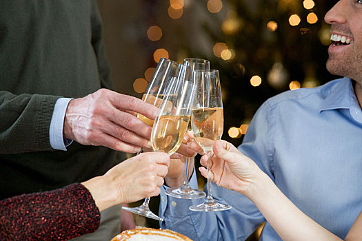 家庭,庆贺,圣诞节,玻璃杯,香槟