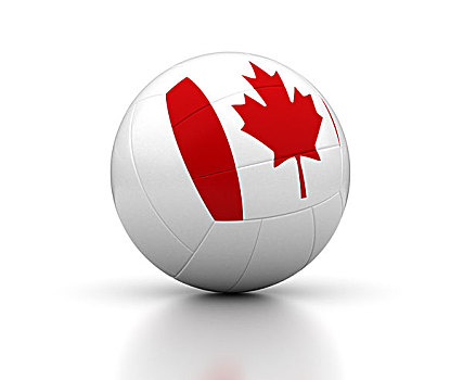 加拿大,排球,团队