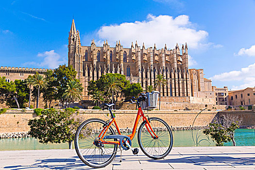 马略卡岛,帕尔玛,大教堂,自行车,巴利阿里群岛,西班牙