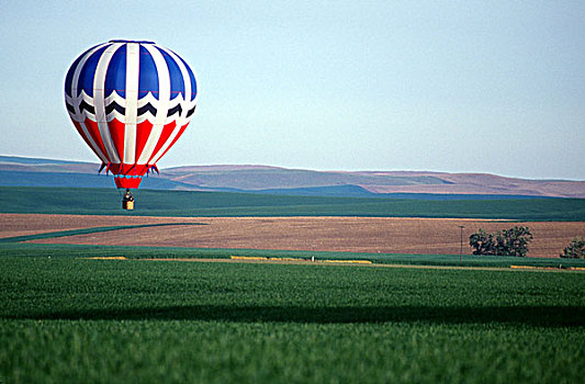 热气球,上方,麦田,瓦拉瓦拉,华盛顿