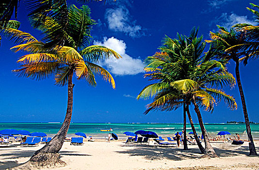 海滩,波多黎各,加勒比