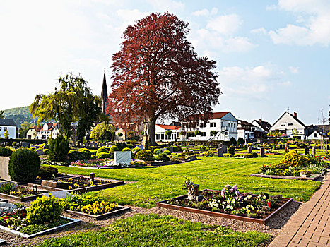福音派,墓地,地区,北莱茵威斯特伐利亚,德国
