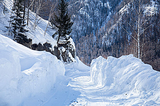 喀纳斯雪景