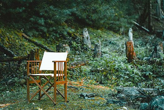 森林里,椅子