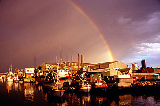 南非,兰伯特湾,小,渔村,彩虹