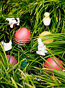 蛋,复活节兔子,草丛