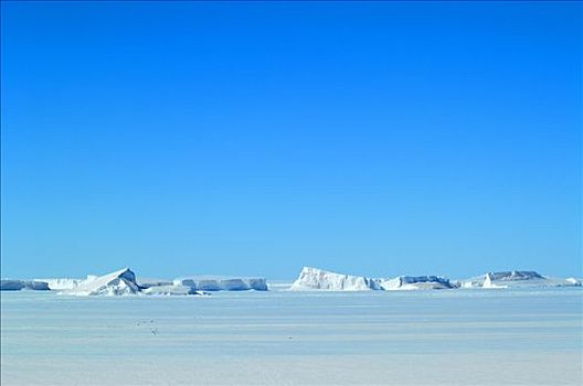 盐,浮冰,冰山,南极