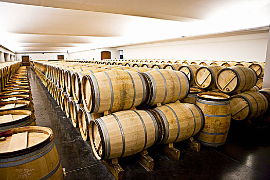 葡萄酒,陈酿,木桶,葡萄酒厂,法国