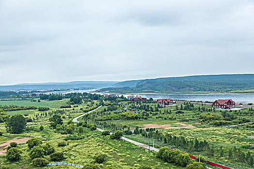 田野