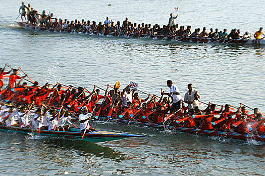 十月,2008年,传统,赛船,拿,堤岸,河,流行,娱乐,活动,下雨,季节,孟加拉