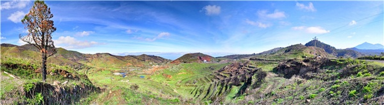 全景,特内里费岛,加那利群岛,岛屿