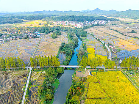 江西金溪,生态乡村,风景如画