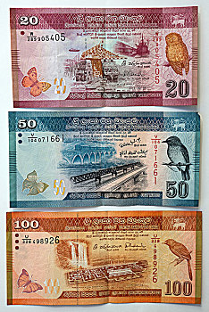 钞票,多样,货币,斯里兰卡,卢比,亚洲