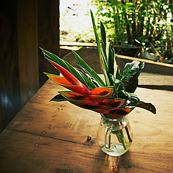 清新,鹤望兰,叶子,花,花瓶,桌上