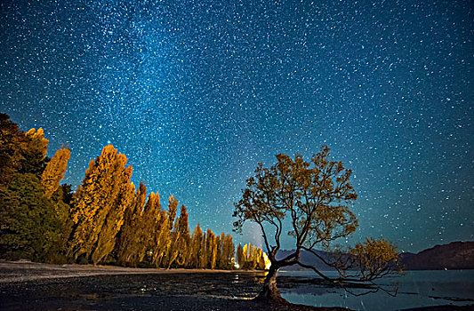 瓦纳卡湖星轨