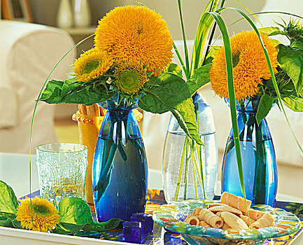 一对,向日葵,蓝色,花瓶,托盘