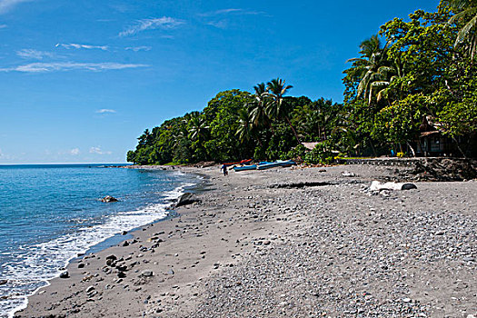 海滩,岛屿,所罗门群岛,太平洋