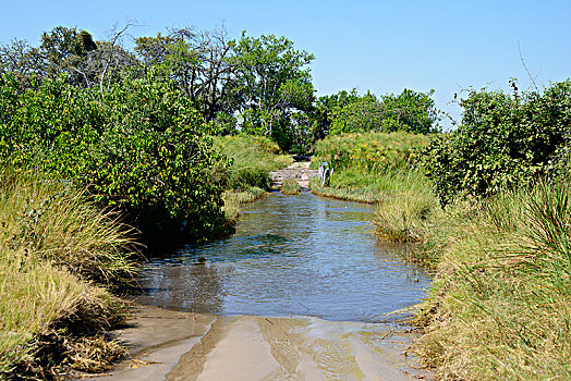 水,莫雷米禁猎区,奥卡万戈三角洲,博茨瓦纳,非洲