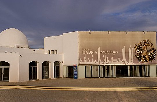 博物馆,突尼斯,非洲