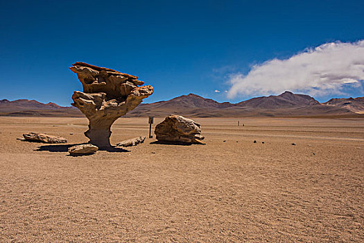 玻利维亚乌尤尼山区沙漠石头树国家公园