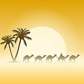骆驼,棕榈树
