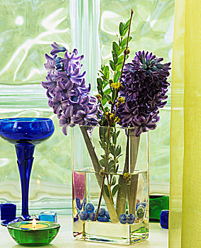 玻璃花瓶,风信子,盒子,山茱萸