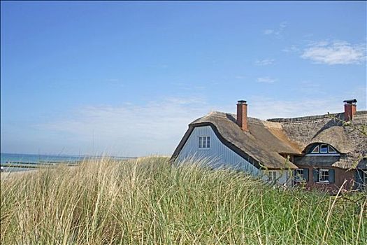 茅草屋顶,房子,沙丘,德国