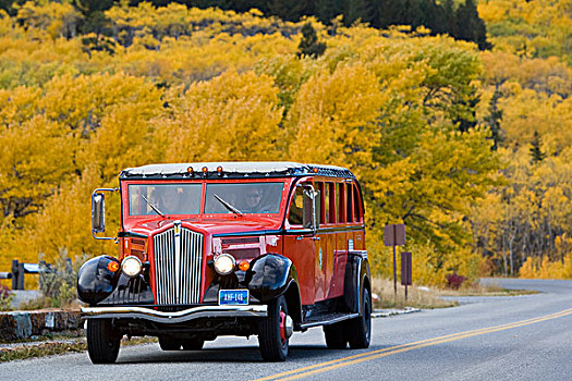 红色,巴士,桥,冰川国家公园,蒙大拿