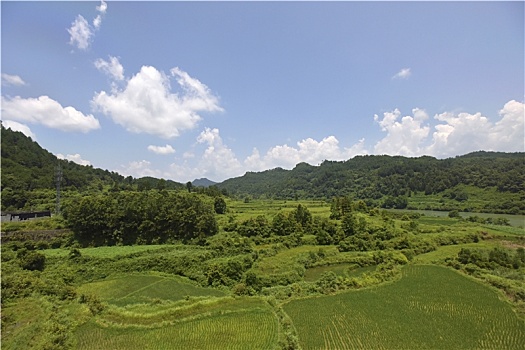 蓝天下绿色的田野