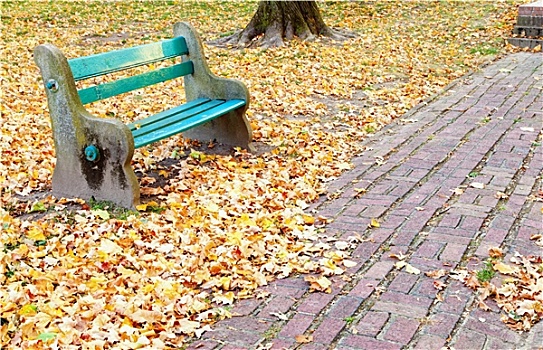 公园,秋天