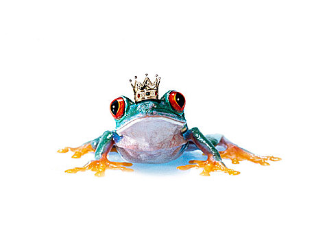 青蛙,皇冠