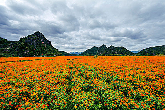 普者黑风景