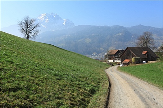 瑞士,农田