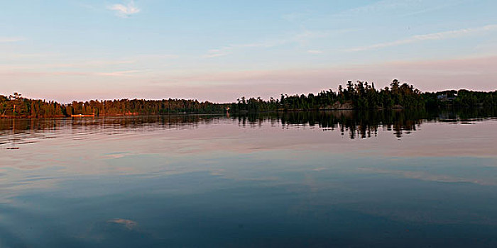 反射,树,水中,湖,木头,安大略省,加拿大