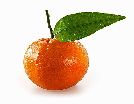 克莱门氏小柑橘,叶子