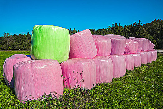 大捆,粉色,绿色,塑料包装,巴伐利亚,德国,欧洲