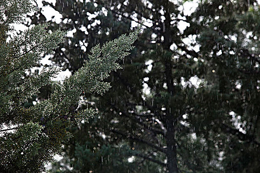 下雨