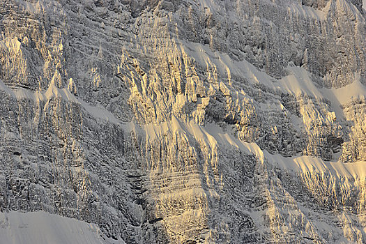 冬天,班芙国家公园,艾伯塔省,加拿大