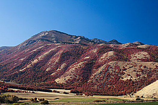 山,远眺,乡村风光