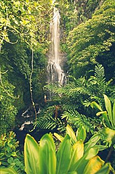 夏威夷,毛伊岛,威陆亚,瀑布,女人,站立,仰视,金色,下午,亮光