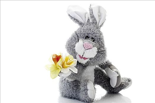 复活节兔子,毛绒玩具,野生,水仙花