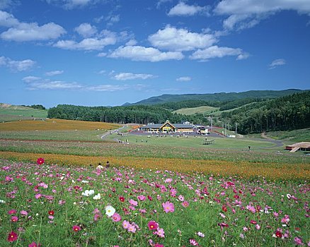 山,太阳,公园